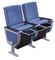 Chaises d'amphithéâtre de VIP/sièges multifonctionnels de luxe de salle de cinéma fournisseur