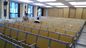 L'école de meubles d'université a fixé le Tableau et le bureau de salle de classe d'échelle de chaise/salle de conférences fournisseur