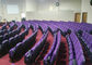 L'église se pliante bleue d'amphithéâtre de Hall Seats Small Back de théâtre de conférence préside en vente fournisseur